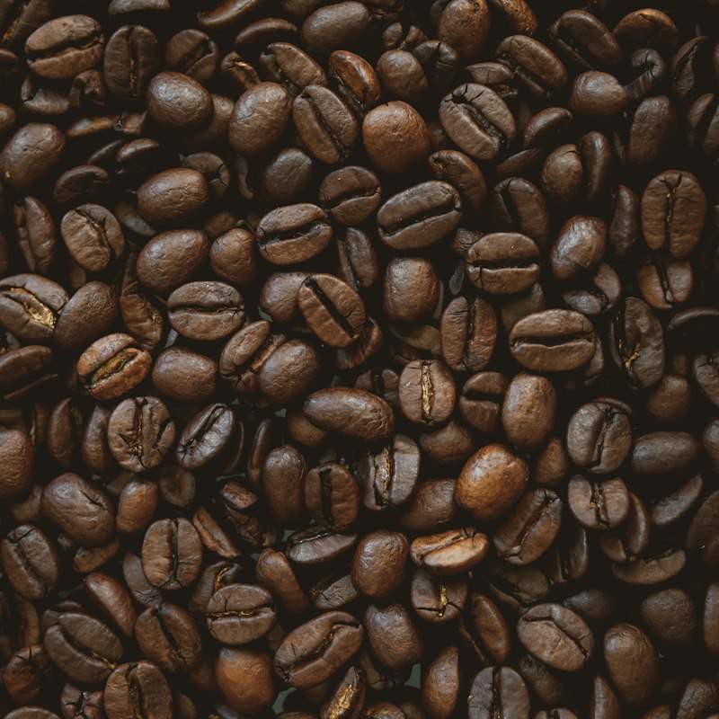 Tek pečena zrna kafe